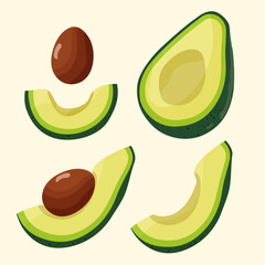 Avocado fruit half, quarter , with and without seed. Vector illustration isolated on light background