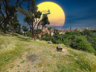 Fototapety na wymiar - Fototapeta24.pl