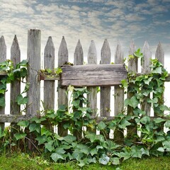 Alter Holzzaun mit Holzschild, der mit Efeu und Grünpflanzen umwachsen ist, vor einem blauen Himmel mit Schäfchenwolken. Nahaufnahme. Perspektive.