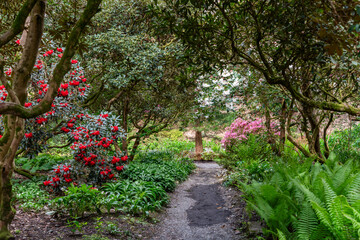 A lovely spring garden in bloom