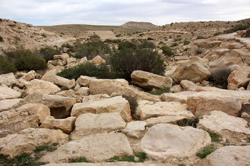 Stones in a city park on the shores of the Mediterranean Sea.