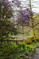 A lovely spring garden in bloom