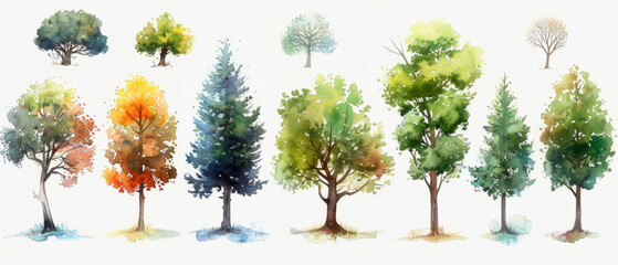 A beautiful collection of hand-drawn watercolor trees, perfect for adding a touch of nature to any project.