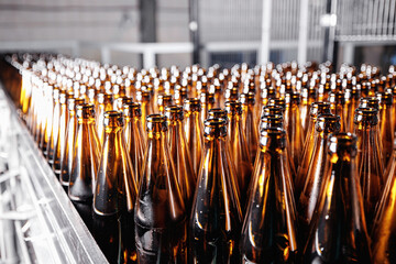 Glass bottles of beer on dark background. Concept banner brewery plant production line
