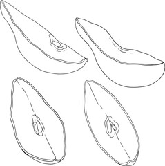 Hand drawn, line fresh pears. Pear outline drawing for coloring pages, label, poster, print