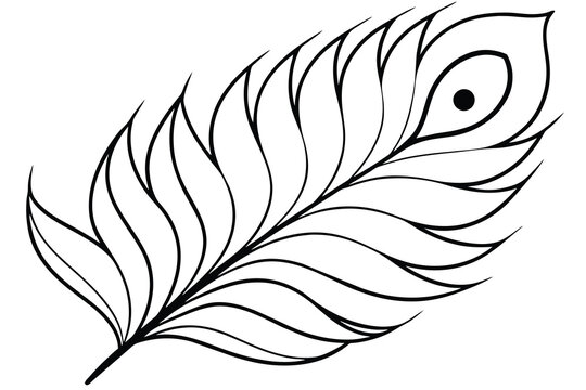 recommend clip art: peacock feather line art, vector illustration