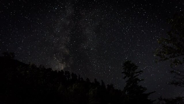Starry night milky way timelapse with mountain and trees silhouette