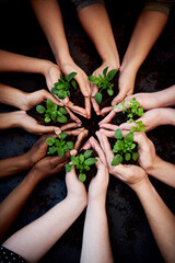 Group, soil and hands with plants in circle for sustainable, agriculture and eco friendly...
