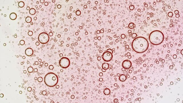 Transparent pink cosmetic gel fluid with molecule bubbles oil distribution on a white background. Macro Shot of Natural Organic Cosmetics, Medicine. Production Close-up. Slow Motion. High quality 4k