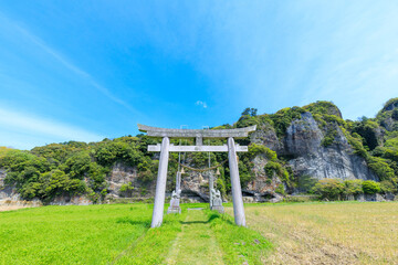 春の青の洞門　毛蕨神社　大分県中津市　Spring blue cave. Kewarabi Shrine. Ooita Pref, Nakatsu City.