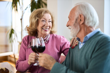 Happy senior couple talking while toasting with red wine  at home