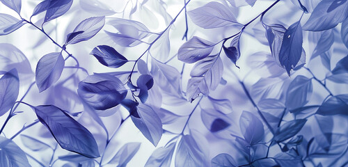 Artistry of nature in a periwinkle and ivory dance of lines where vines intricately weave