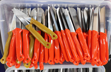 Knives for cutting food with metal blades and multicolored plastic handles