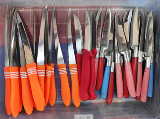 Knives for cutting food with metal blades and multicolored plastic handles