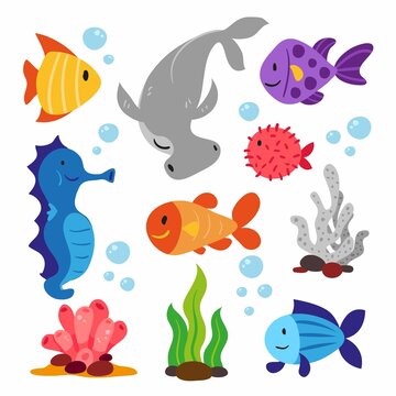 Sea Animals Collection 3