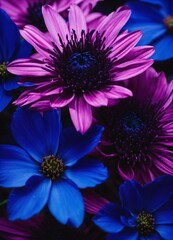 purple and blue flowers