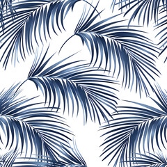 Abstract palm leaves seamless pattern on white background. 