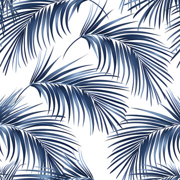 Abstract palm leaves seamless pattern on white background. 