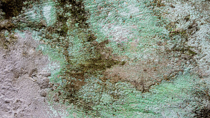 Green concrete wall with mildew