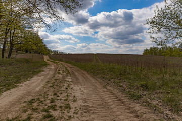 dirt road between trees and field, bright blue sky