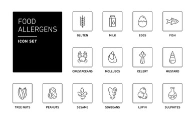 Food allergens vector icons set