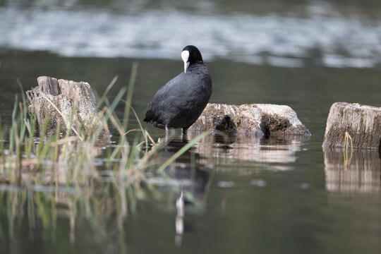 Sitzbank an einem Winterwanderweg