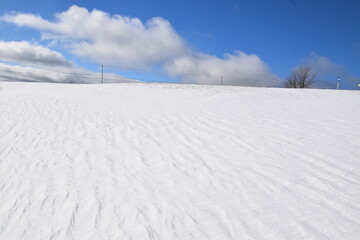 Fototapeta na wymiar A field in winter under a blue sky, Sainte-Apolline, Québec, Canada