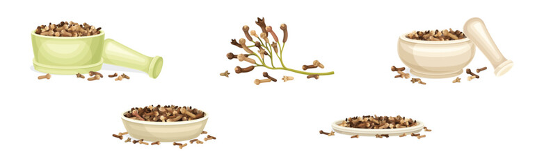 Dried Brown Cloves Condiment and Fragrant Spice Vector Set