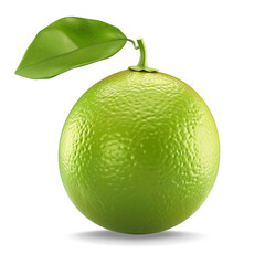 green lime isolated on white