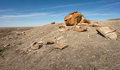Pieces of red concretions on a hilltop at Red Rock Coulee near Seven Persons, Alberta, Canada - obrazy, fototapety, plakaty