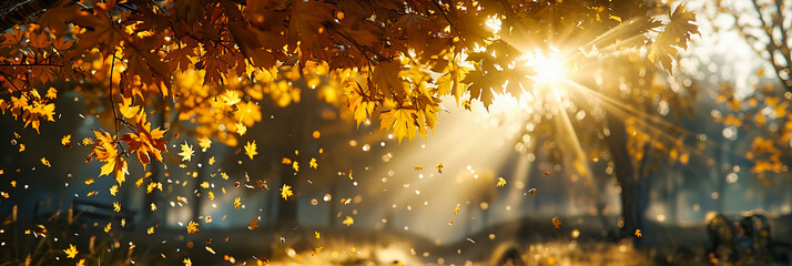 Golden Light Filtering Through Colorful Autumn Leaves, Creating a Warm and Inviting Park Scene