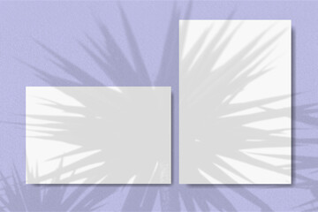 Horizontal and vertical sheets of white textured paper against a violet wall background. Natural light casts shadows from a branch of tropical plants. Mock up