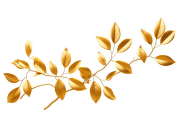 golden autumn leaves isolated on white background.