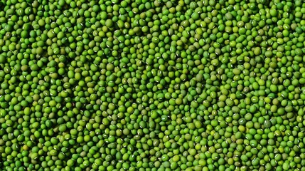 Background of green mung beans