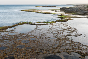  Tidepools revealed at low tide along the central Israel Mediterranean coast.