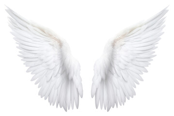 PNG  Pair of angel wings white bird white background