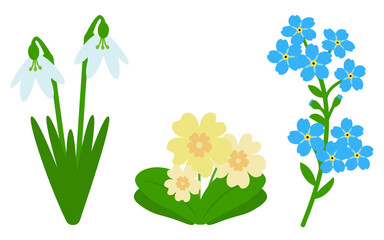 Snowdrop, primrose, forget-me-not. Three flowers isolated on a white background. Spring flower. Flat style. Colored icon set, vector Illustration, template.