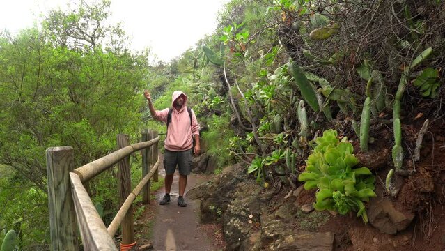 Man walking along a beautiful path in the Laurisilva forest of Los tilos de Moya, Gran Canaria