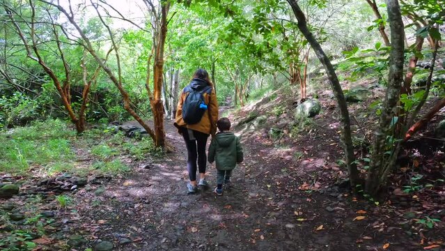 A mother with her son in the Laurisilva forest of Los tilos de Moya, Gran Canaria