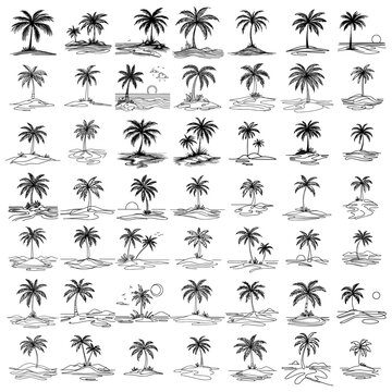 palms tree,  vector illustration silhouette for laser cutting cnc, engraving, tropical icon, clipart black shape