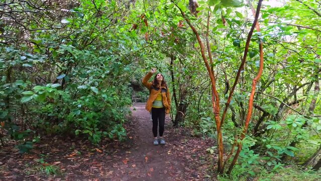Woman walking along a beautiful path in the Laurisilva forest of Los tilos de Moya, Gran Canaria