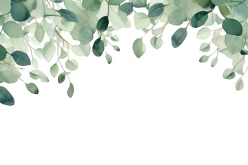 PNG  Eucalyptus leaves backgrounds outdoors pattern