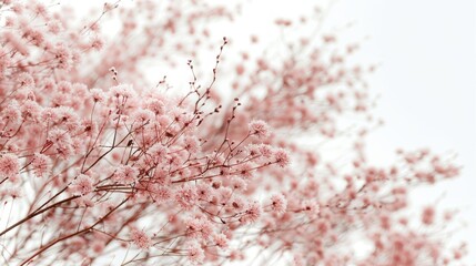 Spring bouquet minimalist wallpaper on defocused white background with copy space