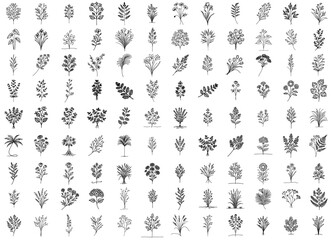 flowers, leaves, wild flowers, herbs, plants, vector illustration silhouette for laser cutting cnc, engraving, doodle line art style, hand-drawn monoline