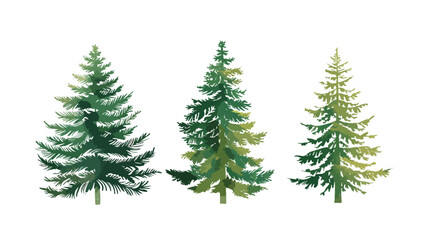 Pine tree christmas isolated icon vector illustration