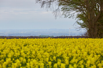 Obraz premium Blick in Richtung Erwitte, Lippstadt, Kreis Soest, NRW, Deutschland, April 2024 