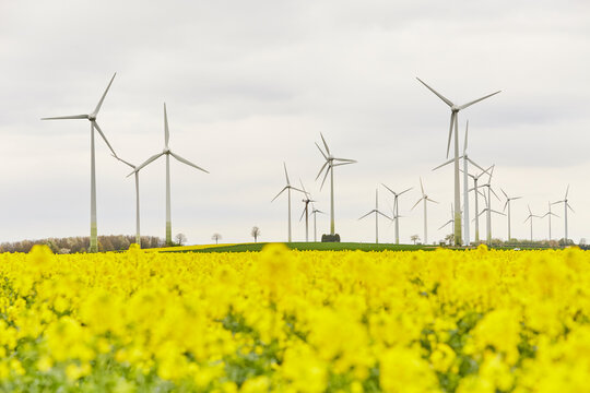 Blick auf Windr&auml;der, Haarstrang, Kreis Soest, NRW, Deutschland, April 2024  