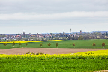 Blick auf die Stadt Rüthen, Kreis Soest, Haarstrang