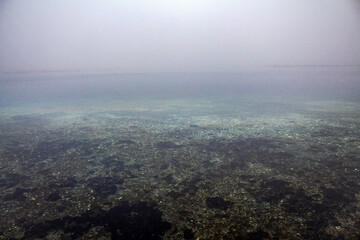 Europe, Romania, Constanta region, 2023 year - Sea, seashore