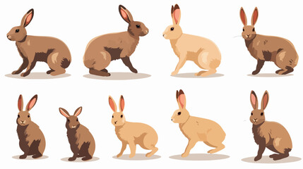 Rabbit Hopping Field Shadow Vector illustration Cute A